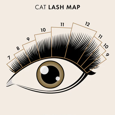 Eyelash Mapping - The Beauty Training School